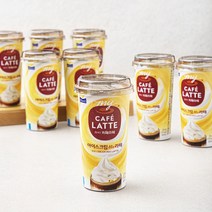 마이카페라떼 아이스크림 Mix 라떼, 220ml, 10개