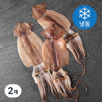해선생 포항시 인증 구룡포 건조 반건 오징어 3미 (냉동), 390g, 2개