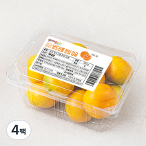 곰곰당도선별한입 감귤, 500g, 4개