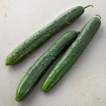 취청오이, 3개입, 1개