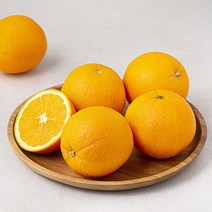 미국산 고당도 오렌지 (점보), 1.5kg, 1개