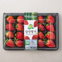 딸기 제품 검색결과