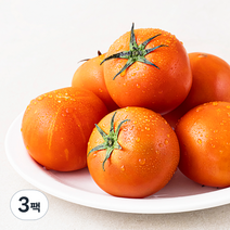 곰곰 GAP 완숙 토마토, 850g, 3팩