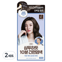 엘라스틴 샴푸하듯 10분 간편 염색제 세트 80g, 흑갈색, 2개
