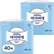 마이비데 화장실용 물티슈 캡형, 46매, 40팩