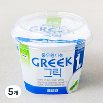 풀무원다논 그릭 플레인, 400g, 5개