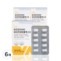 비타민마을 비오틴 5000 비타민B컴플렉스9, 60정, 6개, 60정