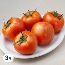 광식이농장 GAP 인증 완숙 토마토, 1kg, 3개