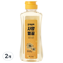 오색설악 사양벌꿀, 500g, 2개