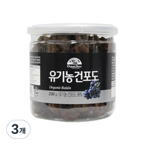 오가닉스토리 유기농 건포도, 230g, 3개