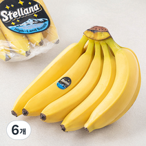 스텔라나 베트남산 고산지 바나나, 1.15kg, 6개