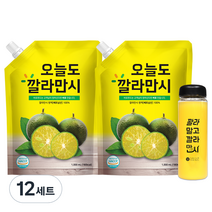 바로푸드 오늘도 깔라만시 원액 + 보틀 1p, 1L, 12세트