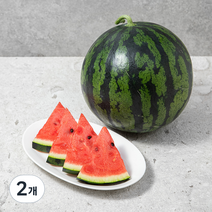 농협 당도선별 수박, 8kg 미만, 2개
