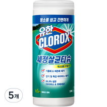 크로락스 세정살균티슈 후레쉬 센트 35p, 258g, 5개