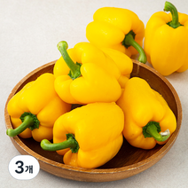 국내산 노랑파프리카, 1kg, 3개