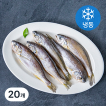 제주어부 참조기 (냉동), 350g, 20개