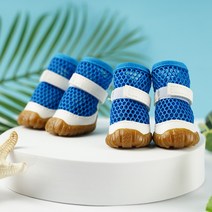 카르노코리아 반려동물 메쉬 화이트 라인 신발, 블루