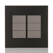 제일전기공업 아도니스 스위치 블랙펄 1로 6구 2개용, 1개