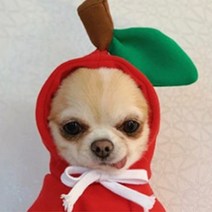 유앤미 반려동물 후드티, 레드