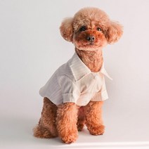 딩동펫 강아지 스탠다드 스트라이프 셔츠, 베이지