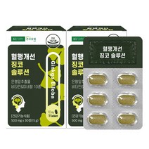 건국유업 혈행개선 징코 솔루션 15g, 2개