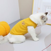 아티펫 베어페이스 포인트 티셔츠, 옐로우