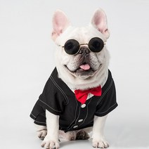MING M 반려동물 메리미 턱시도, 혼합색상