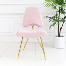 슐 쥬디 벨벳 골드 인테리어 포인트 체어 2p, 핑크