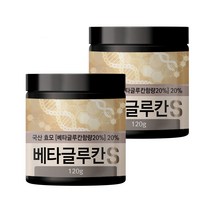 초담식품 발효 베타글루칸 S 분말, 120g, 2개