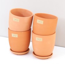 아침향기 매그놀리아 토분 4p, 혼합색상