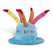 딩동펫 반려동물 생일파티 케이크 모자, 블루