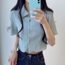 데일리 젤리 카라 크롭 반팔 블라우스