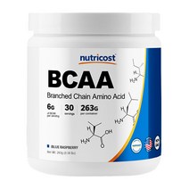 뉴트리코스트 BCAA 블루라즈베리맛, 263g, 1개