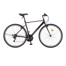 삼천리자전거 2023년식 700C 토러스 21단 + 무료조립쿠폰 440, 170cm, 레드블랙