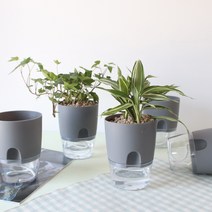 모리앤 원형 저면관수 화분 5p, 그레이