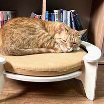 고양이 원목 스크래쳐 꾹꾹이 방석 침대 중대형