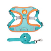 홈리미엄 웰시코기 닥스훈트 전용 하네스 S + 리드줄 세트, 블루, 1세트