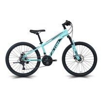 알톤스포츠 2022년형 라임스톤 MTB 자전거 1.0D (미조립 박스배송), 민트, 153cm