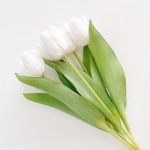 리얼튤립 조화 6p, 화이트