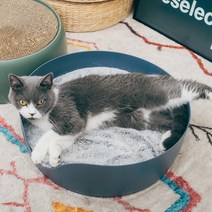 멍해묘해 고양이 올랑올랑 스크래쳐 하우스 대형, 네이비, 1개