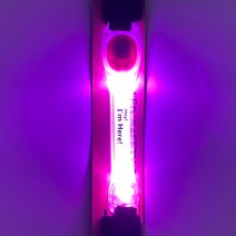 강아지 산책용품 야광목줄 커넥션 LED 나이트 목걸이 밴드, 핑크, 1개