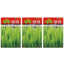 SN월드 새싹 보리 씨앗, 3개