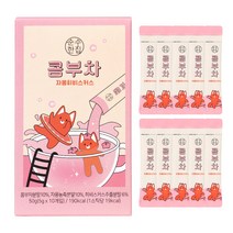 순수한집 콤부차 자몽히비스커스, 5g, 10개