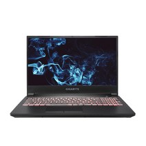 기가바이트 2021 노트북 15.6, 코어i5 11세대, 2TB, 32GB, WIN10 Home, GIGABYTE G5 GD Gen11 i5 PFD Win10