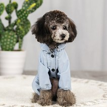 강아지레인코트 가성비 좋은 제품 중 판매량 1위 상품 소개