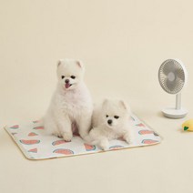 울리 반려동물 쿨매트, 달콤수박
