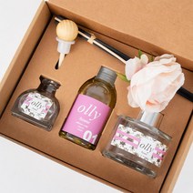 올리 디퓨저 선물세트, 09 플라잇