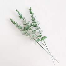 유칼립투스 조화 3p, 그린