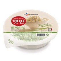햇반발아현미밥210 TOP100으로 보는 인기 제품