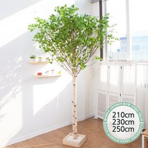 실내인테리어 인조나무 123종 / 플트 조화나무 C, C05.기본Y자형 자작나무 210cmK/코너형, 1개